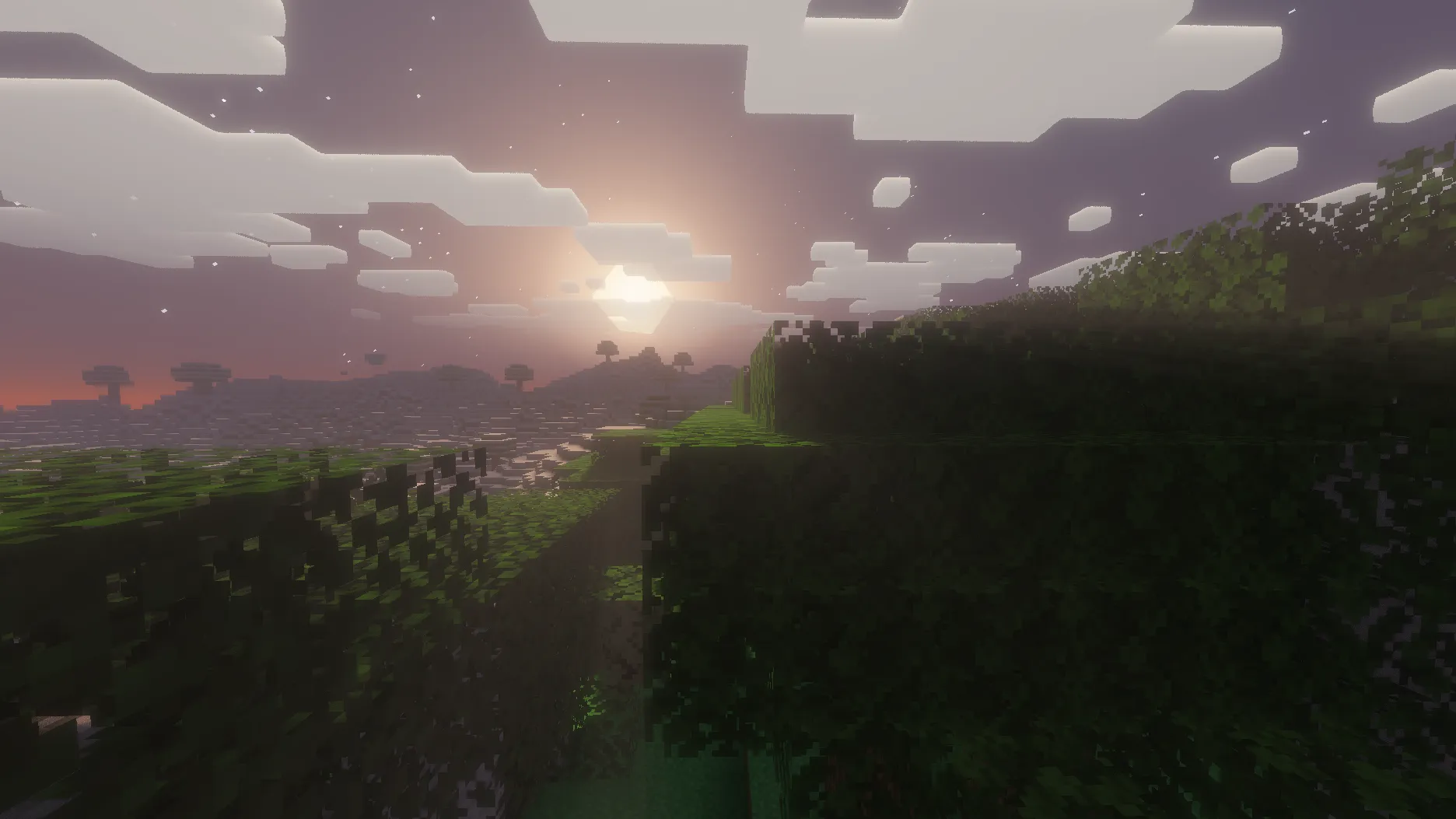 Volumetric light shafts at sunrise viewed from a mountain